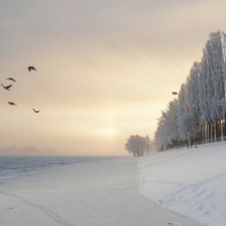 Winter fog flight